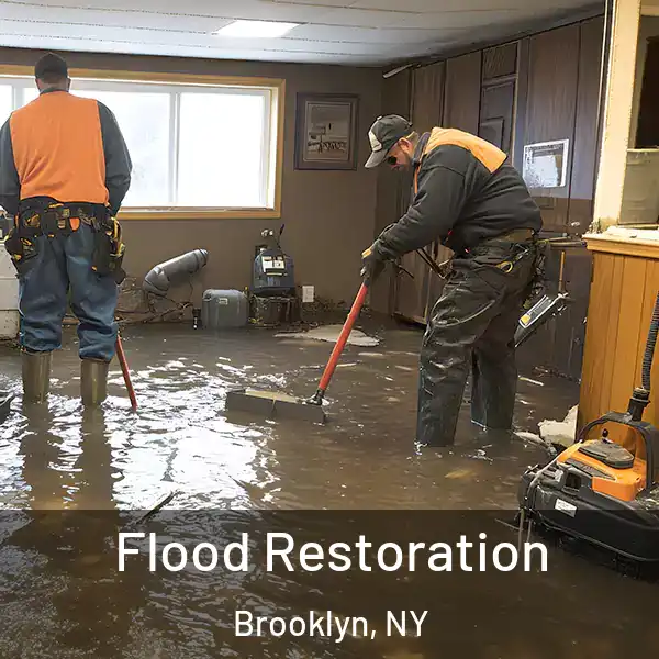  Flood Restoration Brooklyn, NY