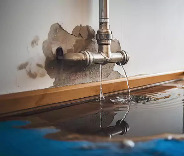 Professional Water Damage Restoration Experts in Brooklyn, NY — Fast, Reliable & Certified
