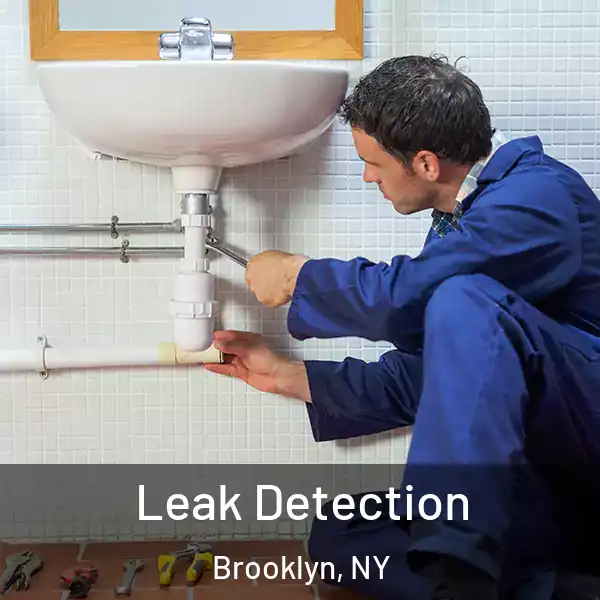  Leak Detection Brooklyn, NY