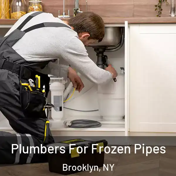  Plumbers For Frozen Pipes Brooklyn, NY