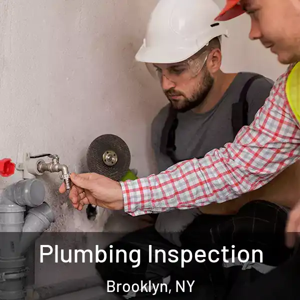  Plumbing Inspection Brooklyn, NY