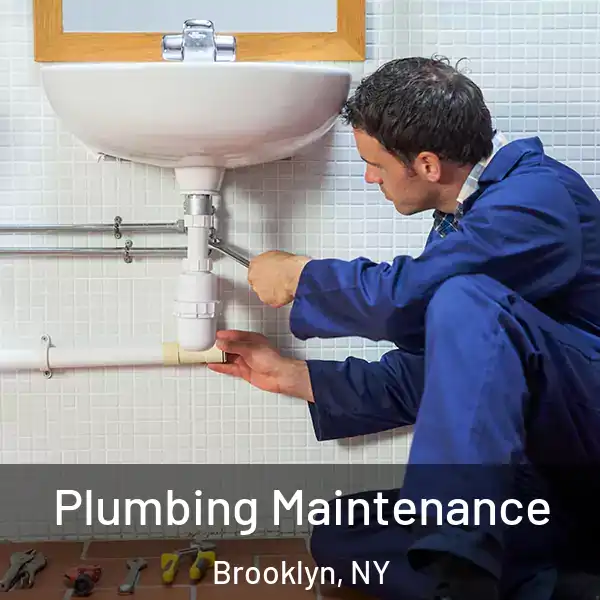  Plumbing Maintenance Brooklyn, NY