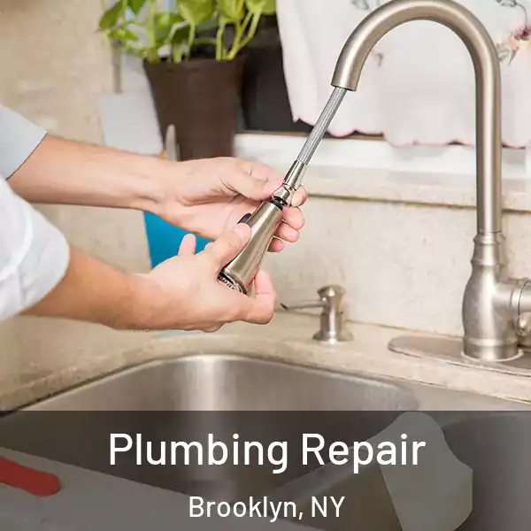  Plumbing Repair Brooklyn, NY