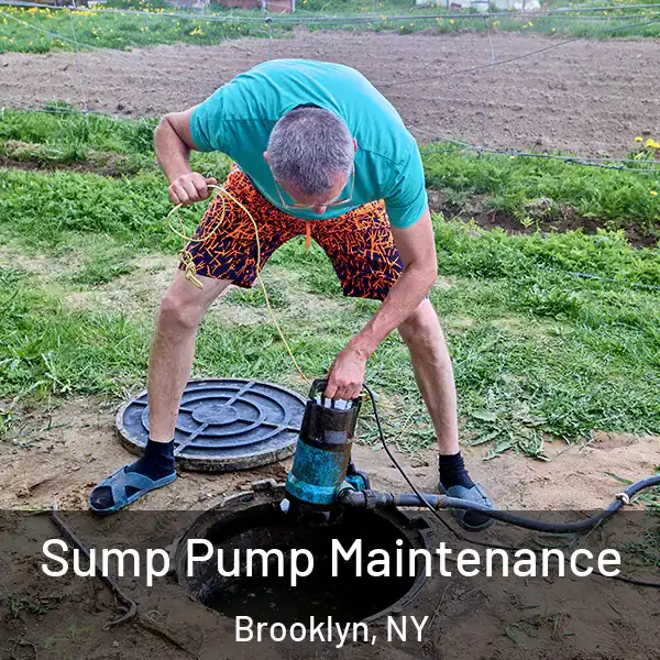  Sump Pump Maintenance Brooklyn, NY