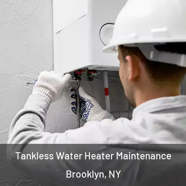  Tankless Water Heater Maintenance Brooklyn, NY