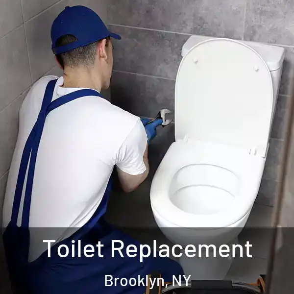  Toilet Replacement Brooklyn, NY