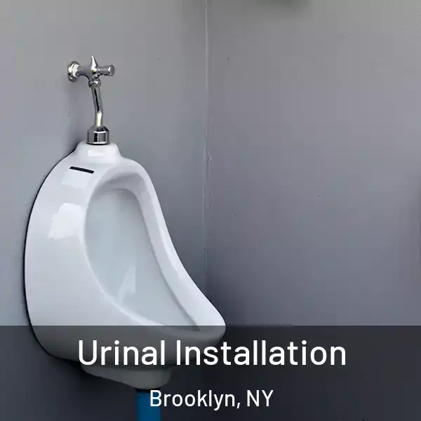  Urinal Installation Brooklyn, NY