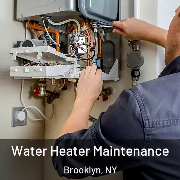  Water Heater Maintenance Brooklyn, NY