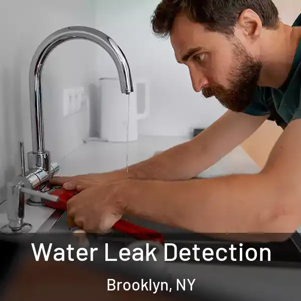  Water Leak Detection Brooklyn, NY