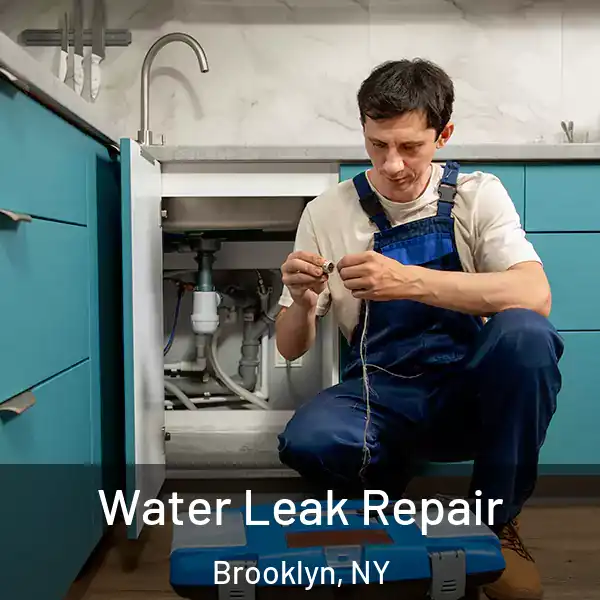  Water Leak Repair Brooklyn, NY